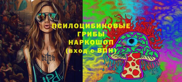 гидра Михайлов