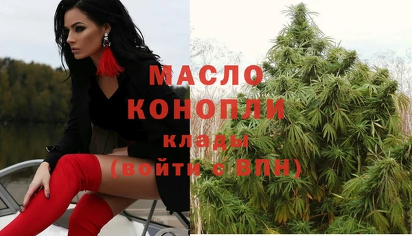 гидра Михайлов