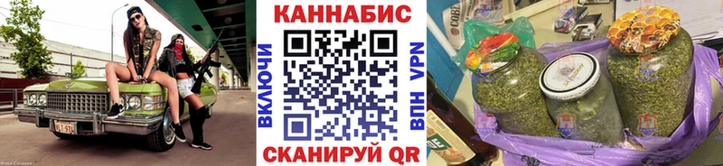 как найти закладки  Новосокольники  Каннабис индика 